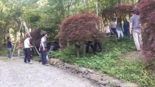 녹지과-성남 가드너 교육생들이 지난해 5월 신구대학교 식물원에서 정지 전정 실습 중이다.jpg