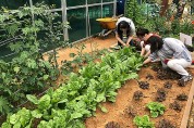 인천, 도시농업전문가 양성