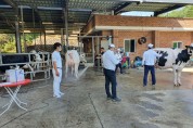 ‘경기도 한우·젖소 경진대회’ 비대면 개최